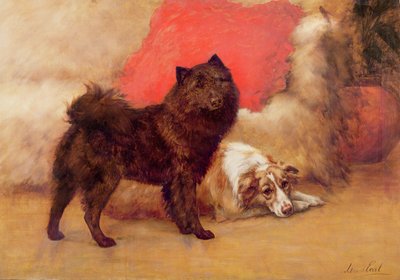 The Red Cushion by Maud Earl